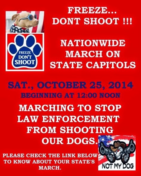 10.24.14 - Freeze - Don't Shoot March2