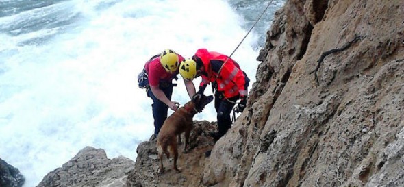 Mallorca's firefighters rescue dog trapped on cliff.