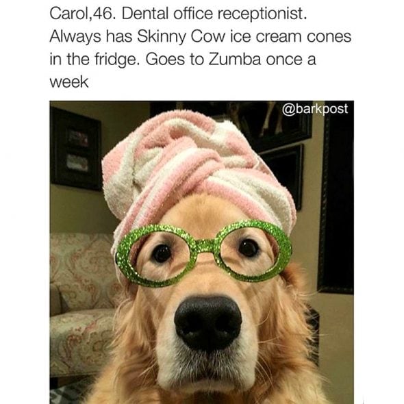 41 Dog Bios That Will Definitely Remind You of Someone You Know ...