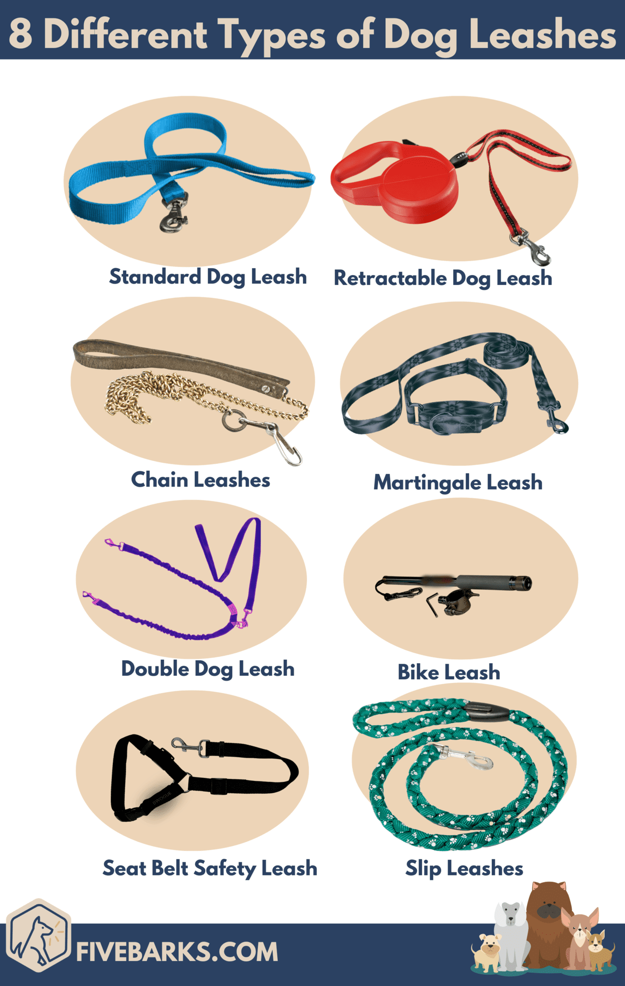 8 Types of Dog Leashes & How to Choose the Best One - Pet As Friend